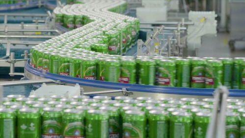 線上線下多維賦能，青島啤酒以品質(zhì)致敬冬奧會網(wǎng)站建設(shè)