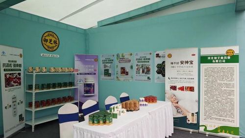 御芝林藥業亮相第三屆扁鵲文化節，多款核心產品與文化創新備受矚目