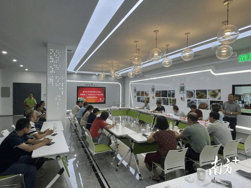 打造農(nóng)業(yè)新生態(tài) 梅州樂得鮮蔬菜工廠化育苗及生產(chǎn)技術規(guī)程企業(yè)標準通過審評