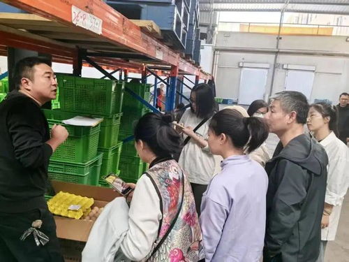 上海學生午餐蝦仁炒蛋引食品安全風波，監管部門介入調查