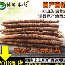 農產品批發(fā)市場中的山藥產業(yè)鏈解析 從產地廠家到終端消費