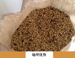 云南省普洱農產品批發(fā)供應與價格分析 惠農網助力產銷對接