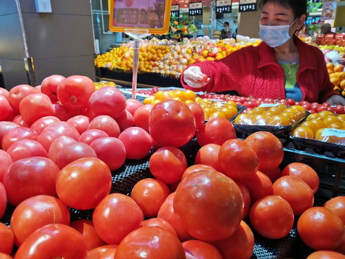 深圳強化食用農產品質量安全監管 批發市場月快檢900次，筑牢全鏈條安全防線