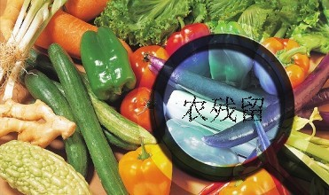 黑龍江通報4批次食用農產品農藥殘留超標，批發環節成監管重點